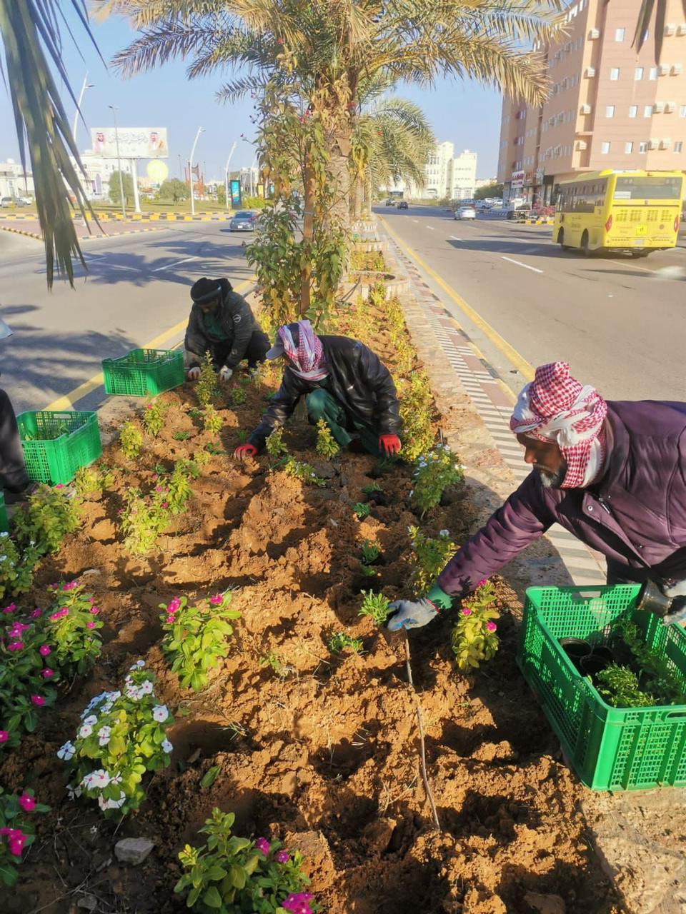 أمانة الجوف تكثّف معالجة التشوه البصري ببلدية دومة الجندل وترفع 8160 طناً من الأنقاض