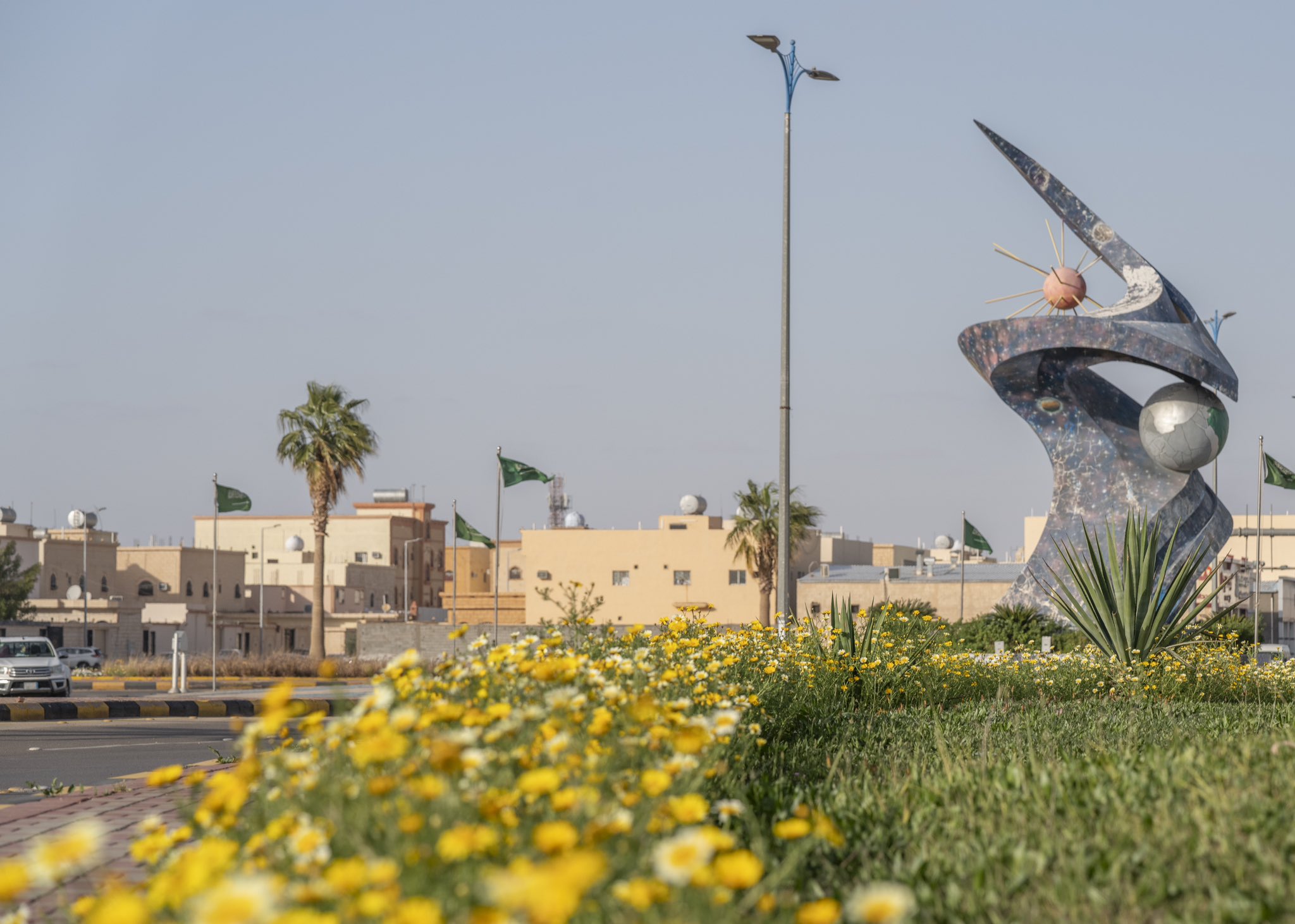 منطقة الجوف تفوح بعبق النباتات العطرية والزهور مع موسم الربيع