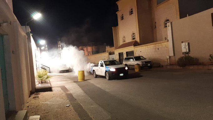 أمانة الجوف تنفذ أكثر من 2000 جولة رقابية لمكافحة آفات الصحة العامة بسكاكا